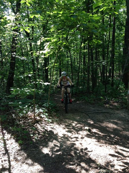 Cycling down the Family Bike Trail at the Bog Trail intersection.