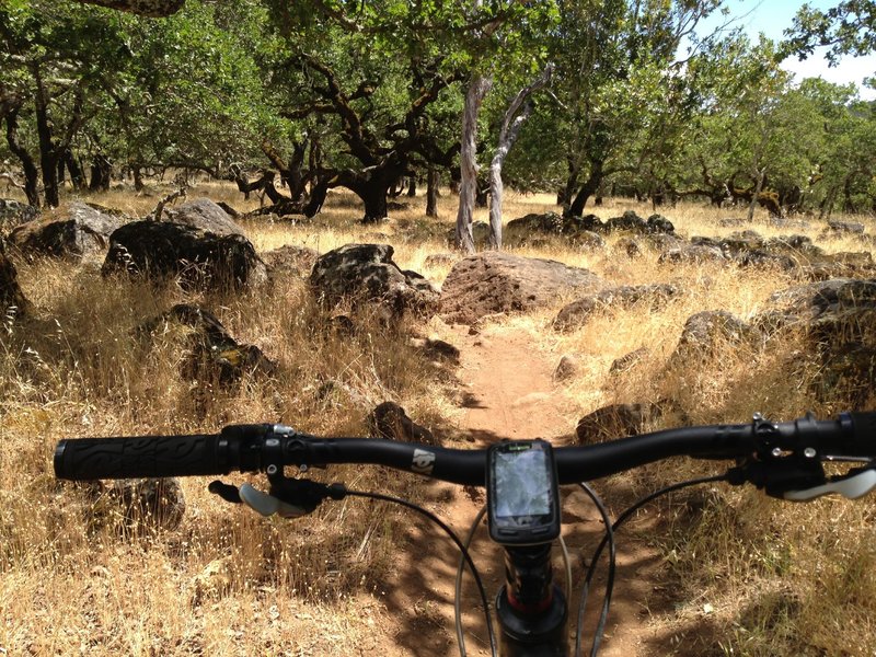 Weaving through a field of boulders.