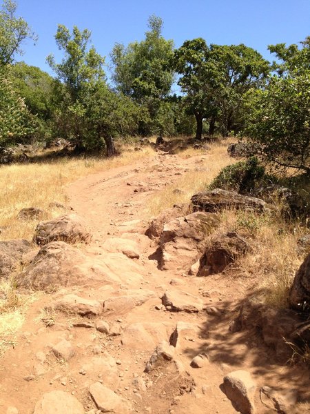 Annadel dances between smooth, open fire roads to loose, rocky and a bit technical without warning.