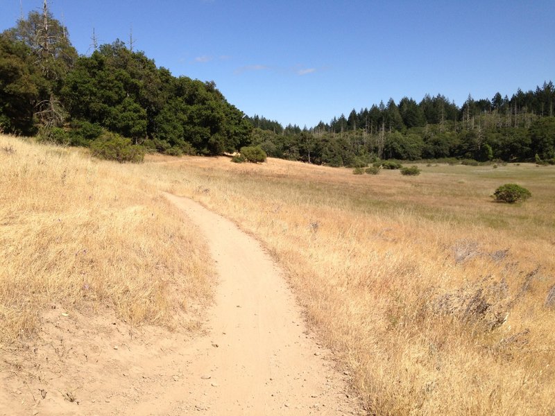 Open and smooth singletrack.