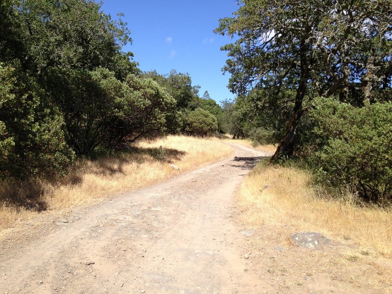 The open fire road at Annadel