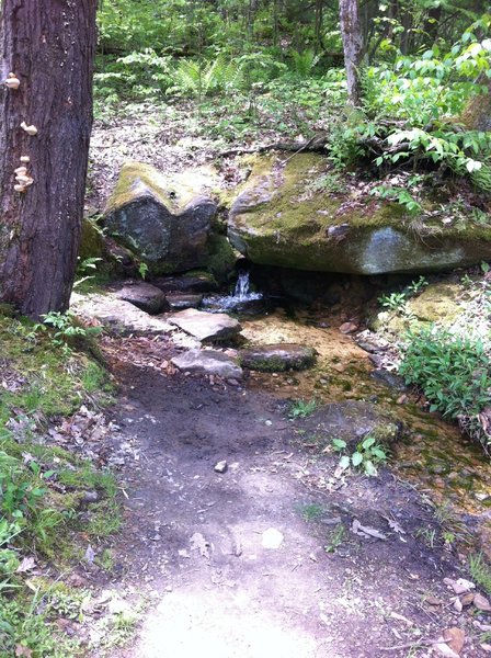 Sandstone springs - good, safe water source