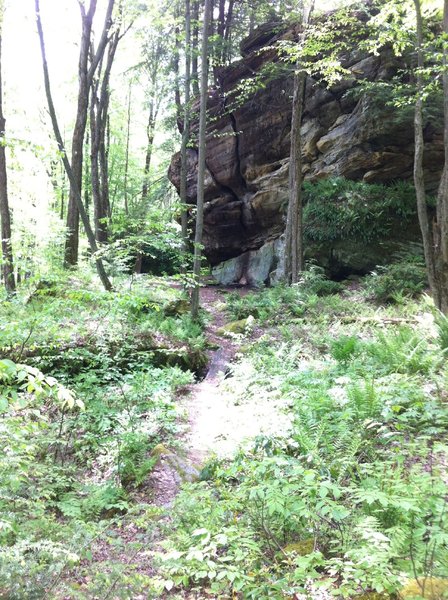 Fractured ridgetop rock - typical of the area