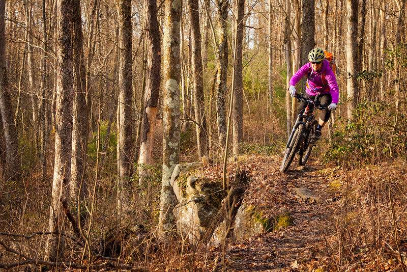 The Doc Smith trail features beautiful sections of hardwoods and rock cliffs.