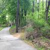 End of singletrack trail, with pavement leading out to trailhead and parking, and short connector trail on the right leading back out for another lap.