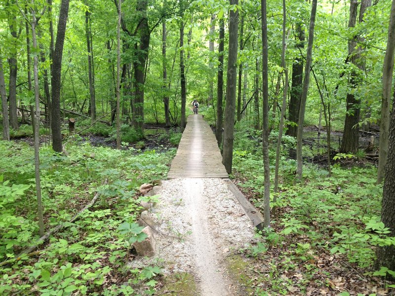 One of the many bridges.