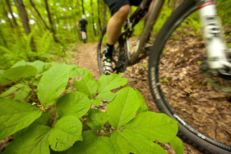 Top of the climb before the big descent on Allegheny