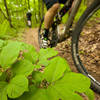 Top of the climb before the big descent on Allegheny