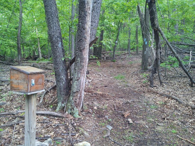 Write a note on the notebook in this box to say you were here.  There's a shelter to the right.  Stay left for trail.