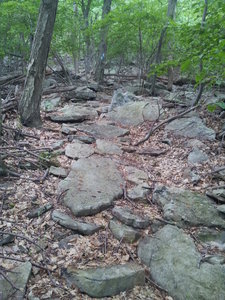 Descending some of the most awesome and technical singletrack you'll find anywhere on this planet. All rideable, just look for the line and get way back.