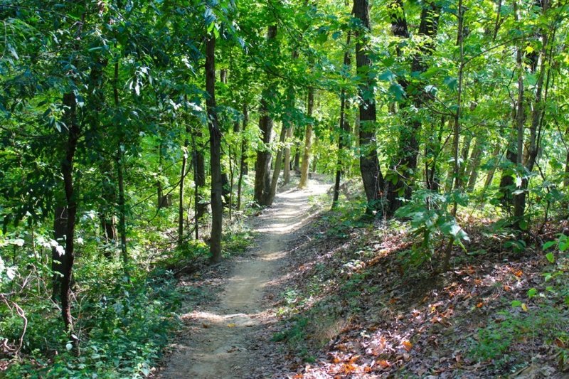 Sweet Waverly singletrack