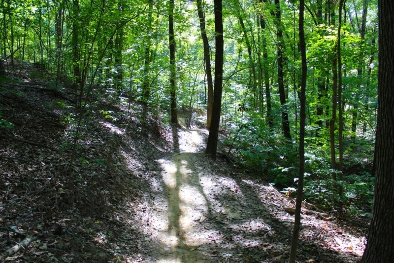 Nice dappled sun on the singletrack