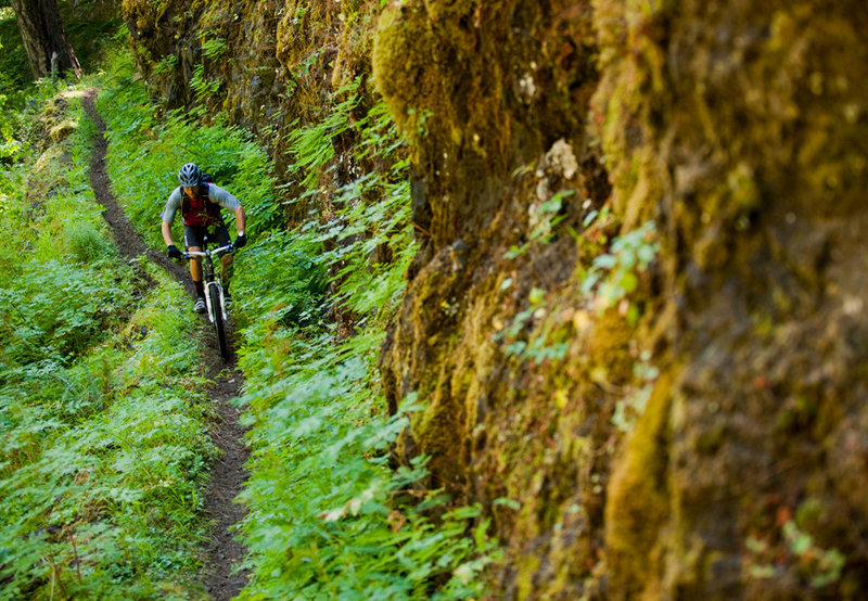 Hanging gardens and rock walls are common on the Dread and Terror section of North Umpqua.