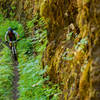 Hanging gardens and rock walls are common on the Dread and Terror section of North Umpqua.