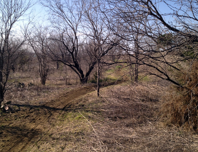 Prairie Loop is the most open of all the trails at River Legacy