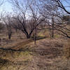 Prairie Loop is the most open of all the trails at River Legacy