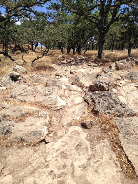 Choose your line through the Rock Garden Trail