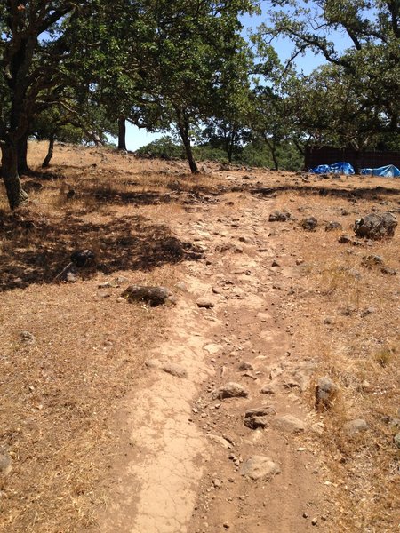 The start of "Mini Rock Garden" Trail