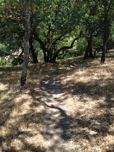 Another smooth singletrack trail