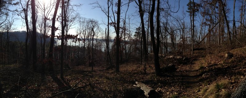 View of Lake Guntersville from the Tom Bevill Trail.