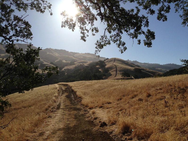 View up to Burma Road - that's the Double Hump 44degree gradient downhill there