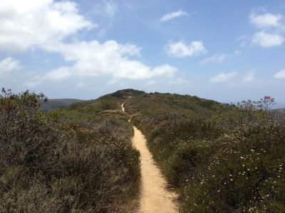 Sweet springtime singletrack along Rattlesnake Trail