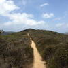 Sweet springtime singletrack along Rattlesnake Trail