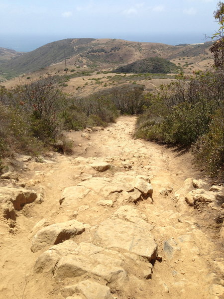 one of the rock-gardens on Rattle Snake Trail