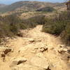 one of the rock-gardens on Rattle Snake Trail