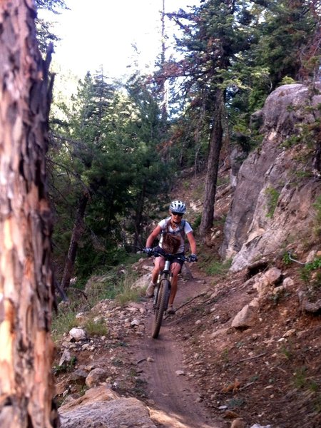 More of the Little Bear Trail, I could ride this every day!