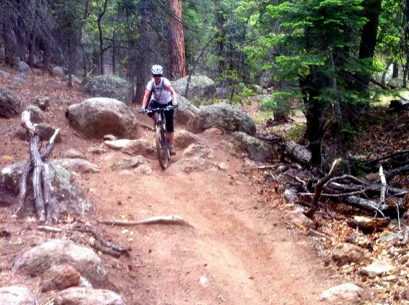 Fun smooth trail with occasional rocks & roots