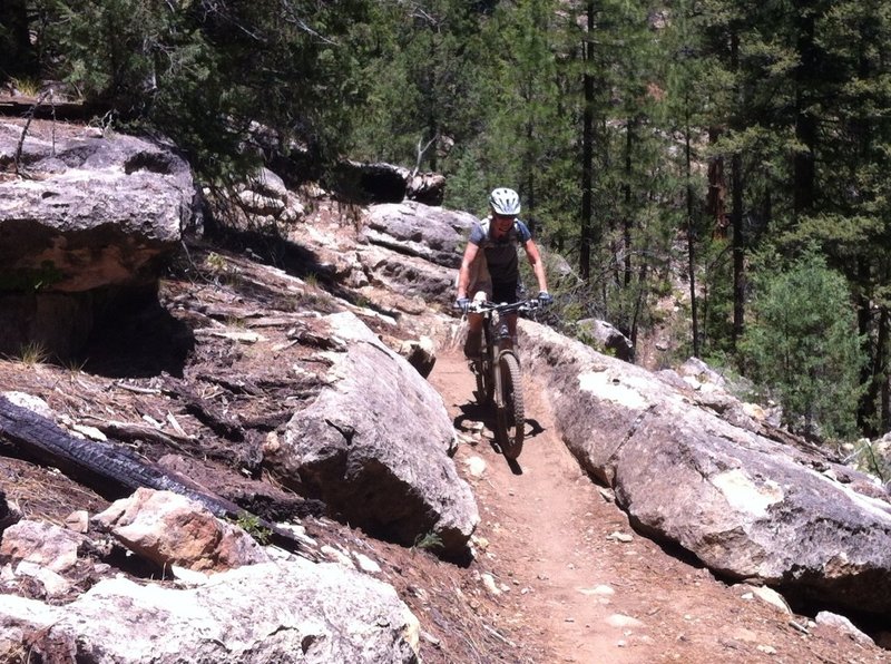 Walnut Canyon Rim Trail is an excellent example of why I love MTBing in Flagstaff.