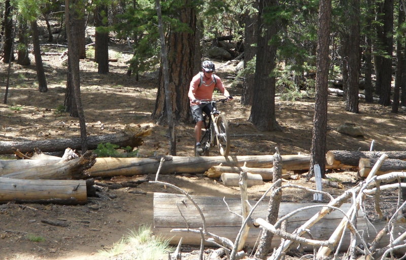 Small log obstacle entering Lower Brookbank Trail