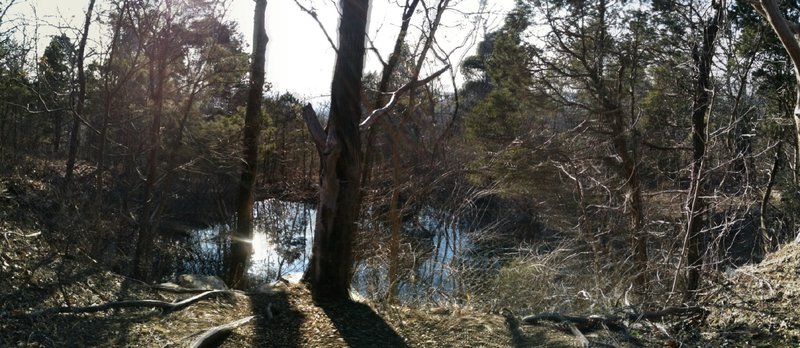 The old stone quarry lagoon off of the High Trail on Monte Sano.