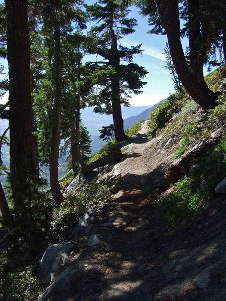 Narrow trail on a steep mountain side