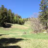 Derek peddling grassy switchbacks in the lower portion of the climb