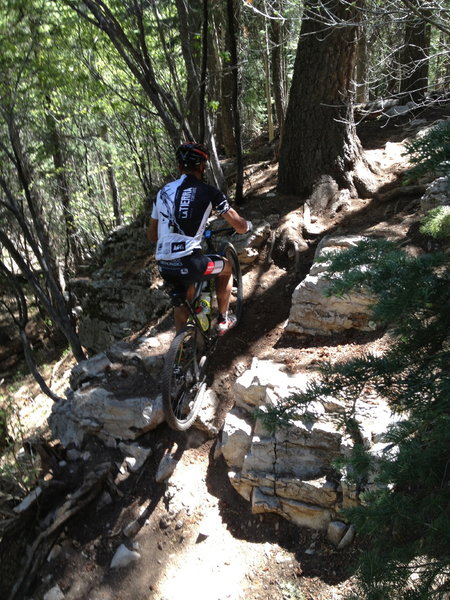 Trying to clear big rocks, roots and miss the tree.