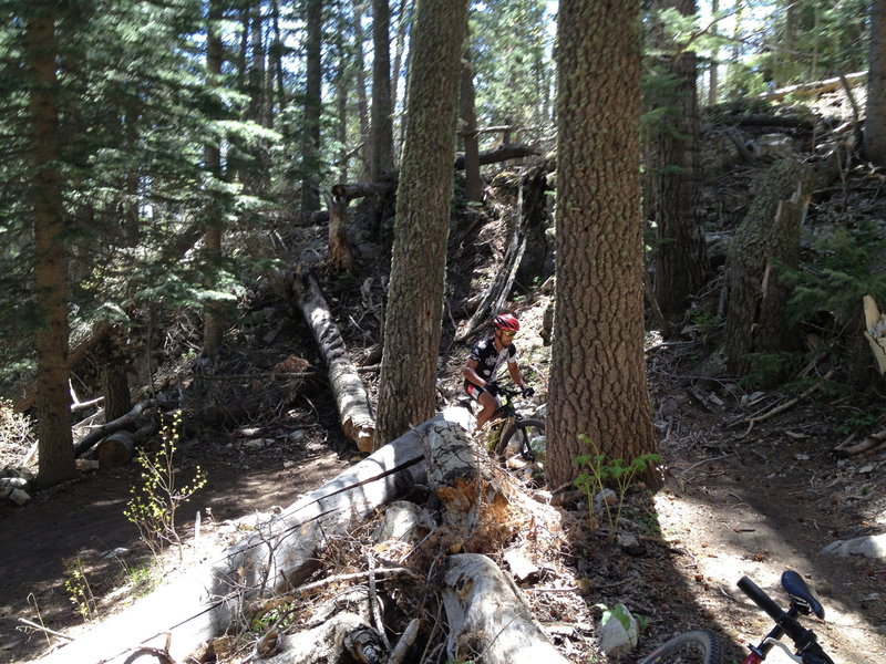 Framed by trees rounding a switchback