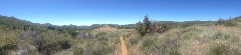 panoramic view of the location