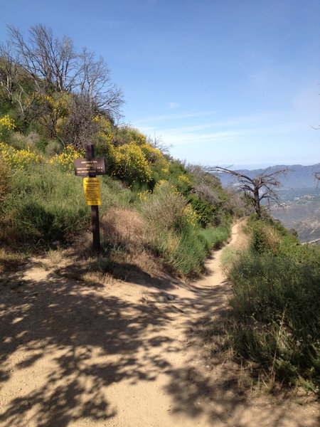 Start of the Sunset Ridge trail.