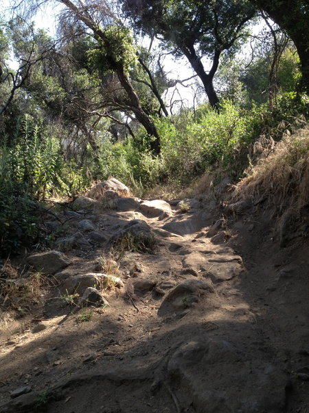 A bit of technical fun on the way down El Prieto.