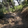 A bit of technical fun on the way down El Prieto.