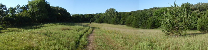 Lower Meadow