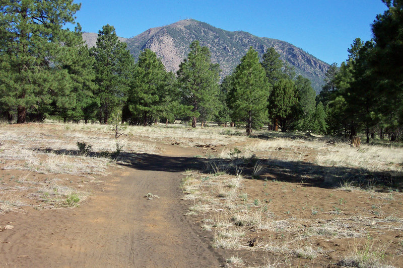 Views of Mount Elden along the Continental Loop.