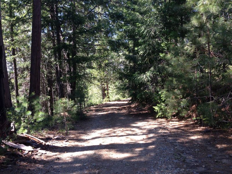 View of trail on the descent from Pilots Peak