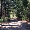 View of trail on the descent from Pilots Peak