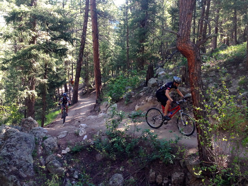 The big-ish initial climb up Bear Creek Trail