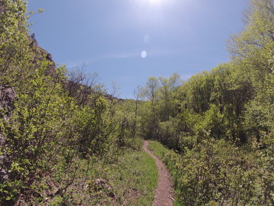 South Fork looking up.  Beautiful!