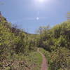 South Fork looking up.  Beautiful!