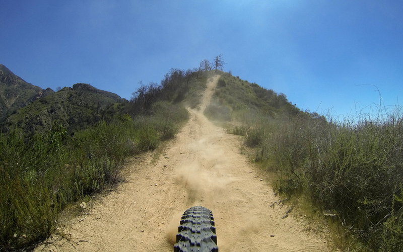 Dirt trails descending Sunset Ridge Trail